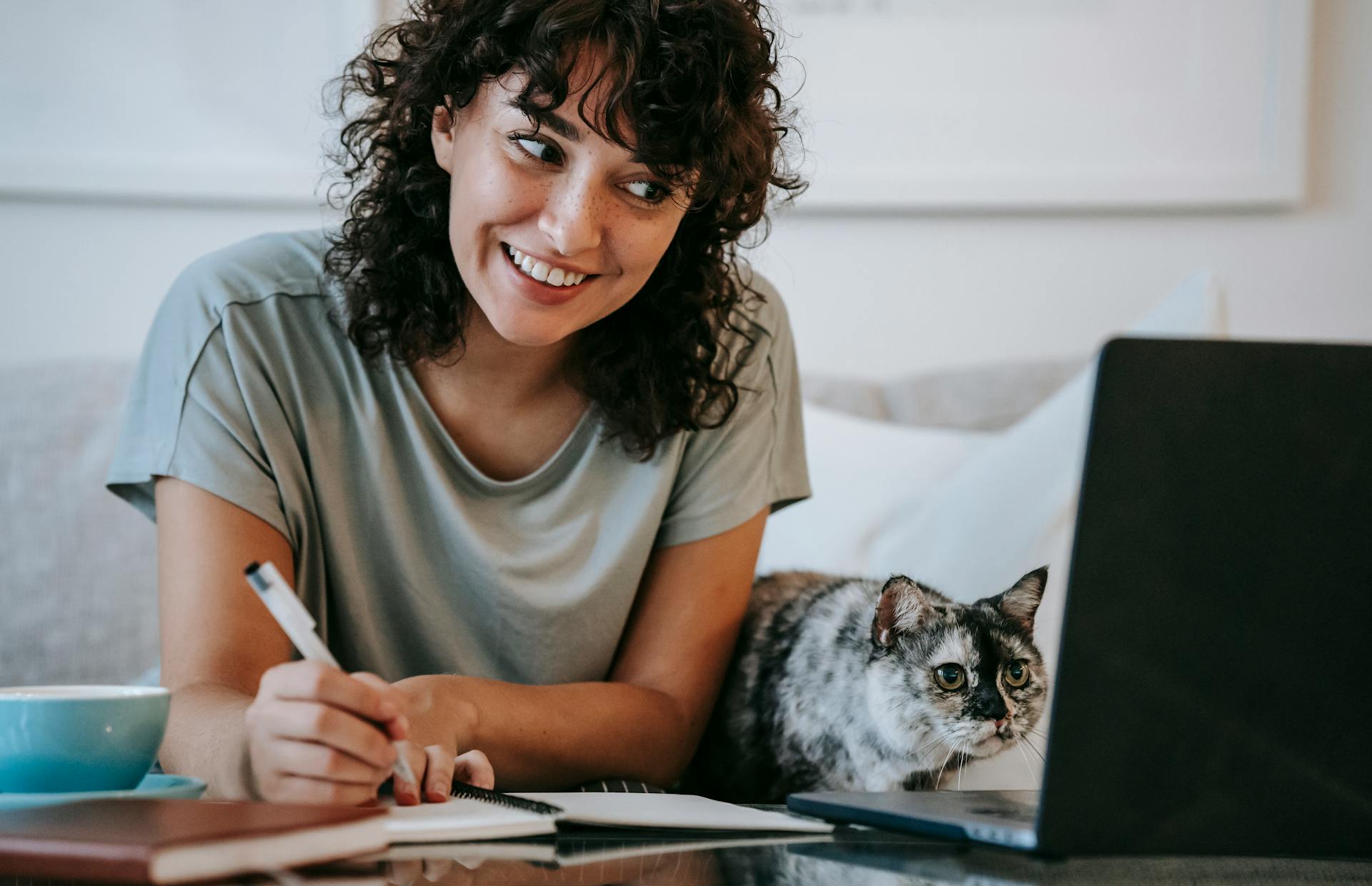 Young woman working on a laptop with her gray cat in a cozy home office setting.