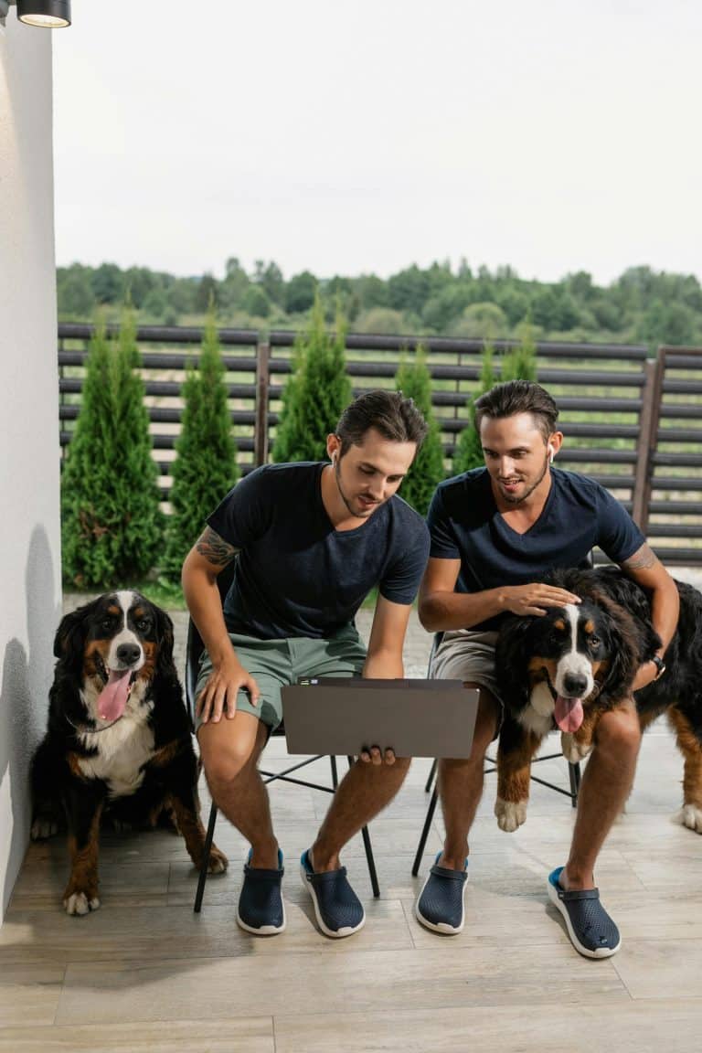 Two men with dogs using laptop outdoors