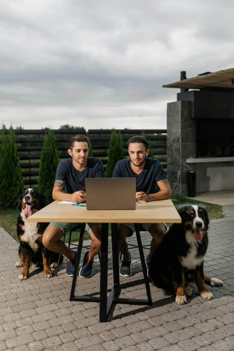 Two men working outdoors with two dogs