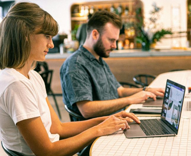 software development