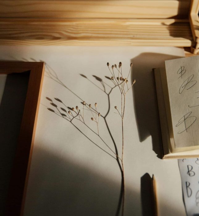 Elegant dried plant arrangement with soft lighting, gentle shadows, and serene wooden accents.