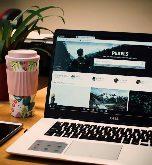 Sleek Dell laptop, colorful coffee cup, and plant create a modern, inviting workspace atmosphere.